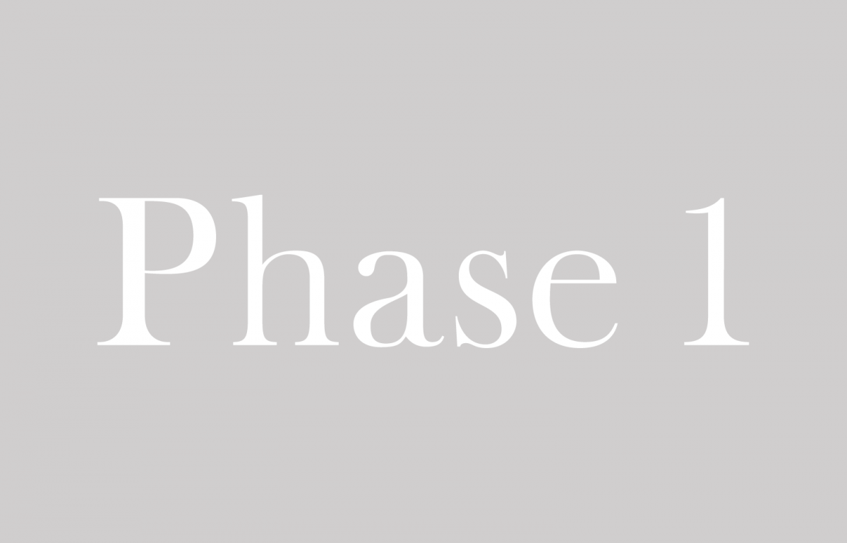 Phase I – project starts